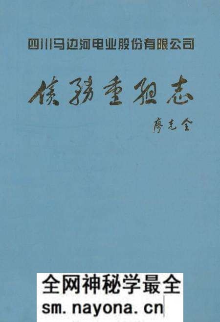 《川马电业债务重组志》.pdf电子版_四川省志预览图