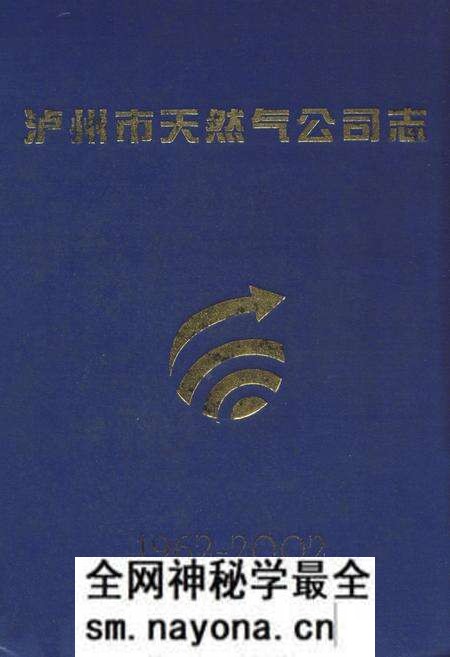 《泸州市天然气公司志(1962-2002)》.pdf电子版_四川省志预览图