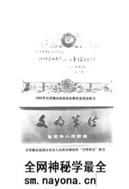 《自贡市图书发行志(1864-1985)》.pdf电子版_四川省志预览图5 《自贡市图书发行志(1864-1985)》.pdf电子版_四川省志预览图5