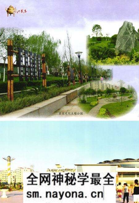 《岳池县志(1986-2002)》.pdf电子版_四川省志预览图5