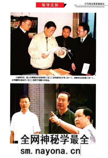 《川马电业债务重组志》.pdf电子版_四川省志预览图4
