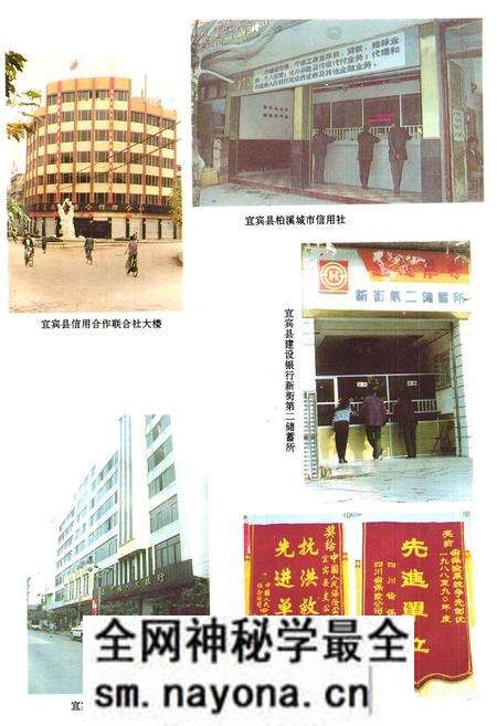 《宜宾县金融志》.pdf电子版_四川省志预览图4