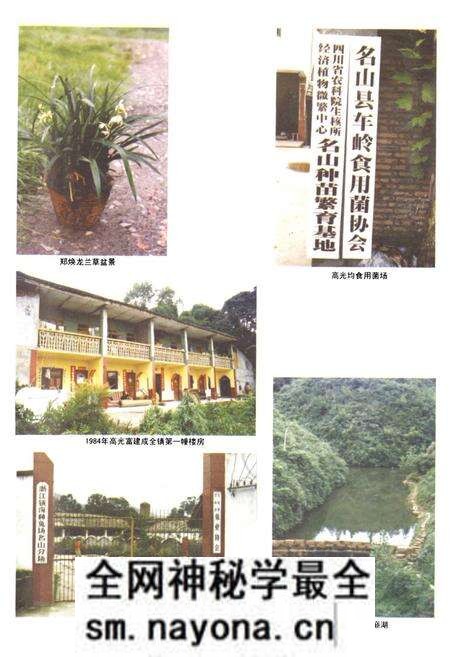 《车岭镇志》.pdf电子版_四川省志预览图5 《车岭镇志》.pdf电子版_四川省志预览图5