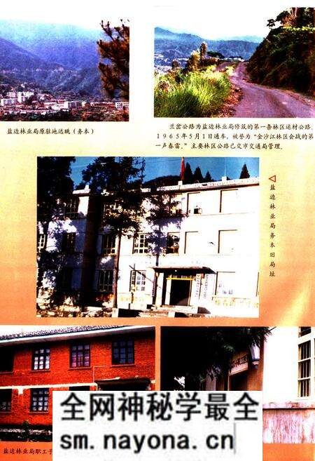 《《攀枝花市盐边林业局志》》.pdf电子版_四川省志预览图5