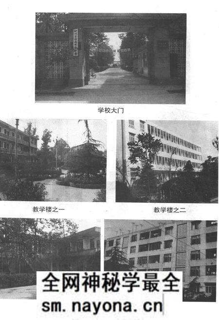 《蒙阳中学校志(1944-1994)》.pdf电子版_四川省志预览图3