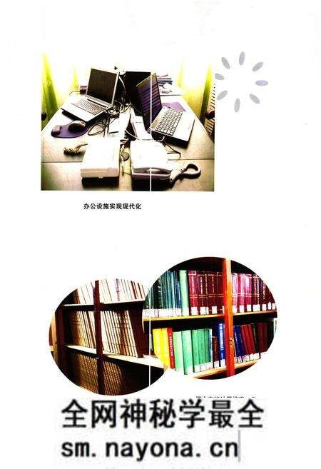 《阆中市统计志》.pdf电子版_四川省志预览图4