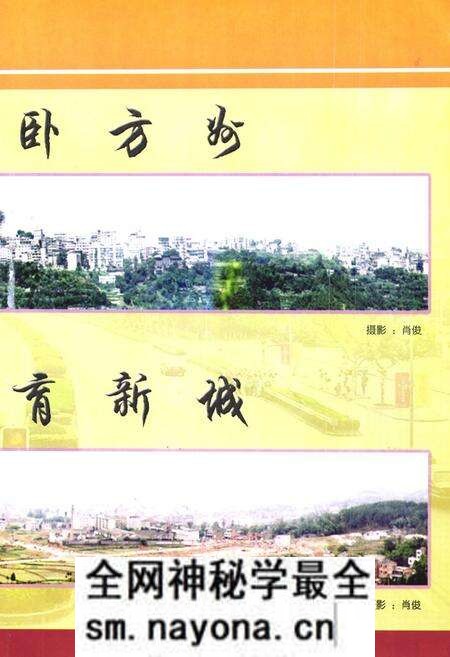 《仪陇县人民政府志(1985-2002)》.pdf电子版_四川省志预览图5