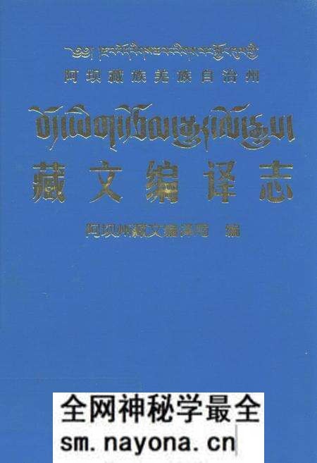 《藏文编译志》.pdf电子版_四川省志预览图