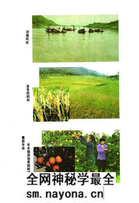 《邻水县人民政府志》.pdf电子版_四川省志预览图5