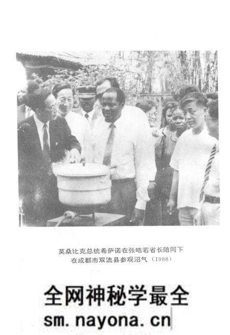 《四川省沼气志》.pdf电子版_四川省志预览图5 《四川省沼气志》.pdf电子版_四川省志预览图5