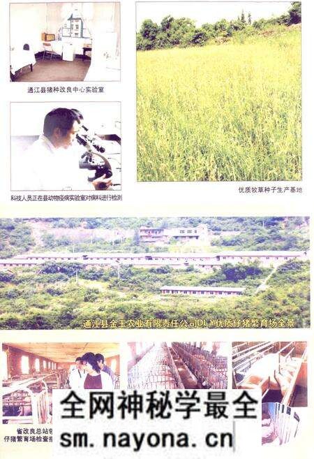 《通江县畜牧食品志(1986-2003年)》.pdf电子版_四川省志预览图3 《通江县畜牧食品志(1986-2003年)》.pdf电子版_四川省志预览图3