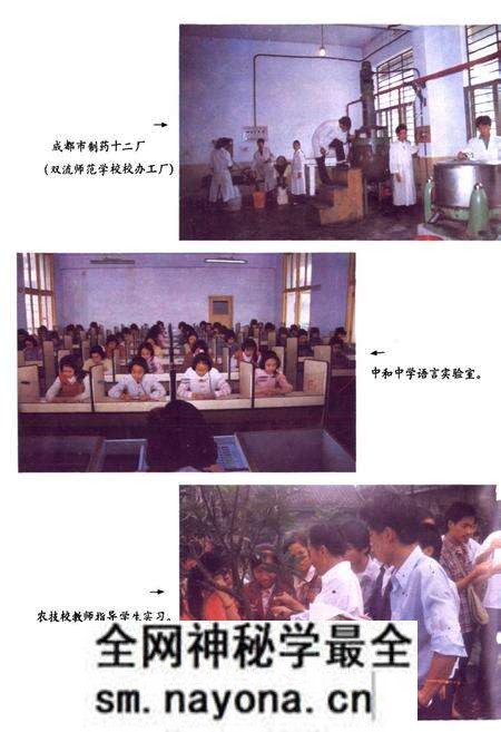 《双流县教育志》.pdf电子版_四川省志预览图5