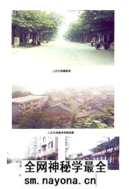 《双流县正兴镇志(2005年本)》.pdf电子版_四川省志预览图4