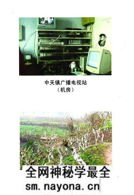 《《乐至县中天镇志(1949.10-2005.12)》》.pdf电子版_四川省志预览图5 《《乐至县中天镇志(1949.10-2005.12)》》.pdf电子版_四川省志预览图5