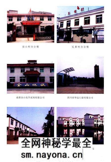 《双流县新兴镇志(2005年本)》.pdf电子版_四川省志预览图5