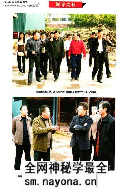 《川马电业债务重组志》.pdf电子版_四川省志预览图5