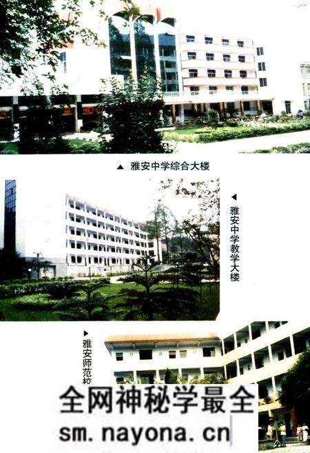 《雅安地区教育志》.pdf电子版_四川省志预览图3