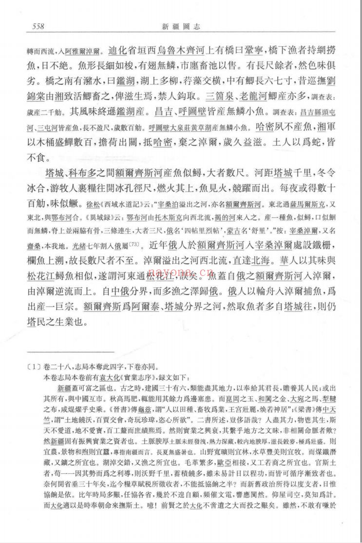 新疆图志(西域文库)清-王树栴PDF电子版