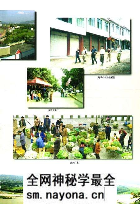 《菜坝镇志(1949-2000)》.pdf电子版_四川省志预览图5 《菜坝镇志(1949-2000)》.pdf电子版_四川省志预览图5