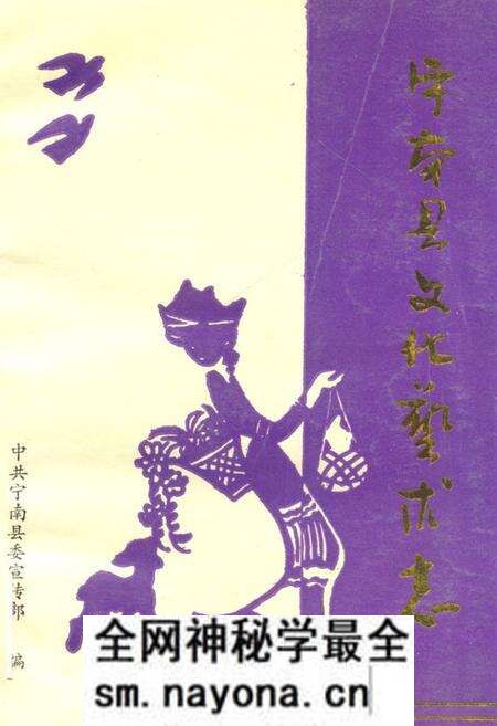 《宁南县文化艺术志》.pdf电子版_四川省志预览图 《宁南县文化艺术志》.pdf电子版_四川省志预览图