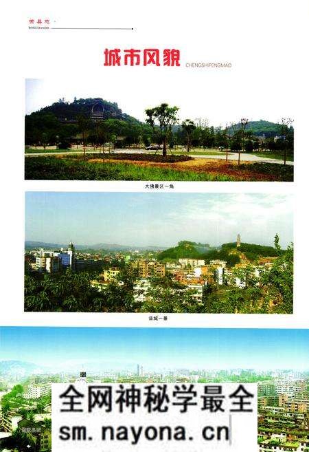 《荣县志(1986~2008)》.pdf电子版_四川省志预览图5 《荣县志(1986~2008)》.pdf电子版_四川省志预览图5