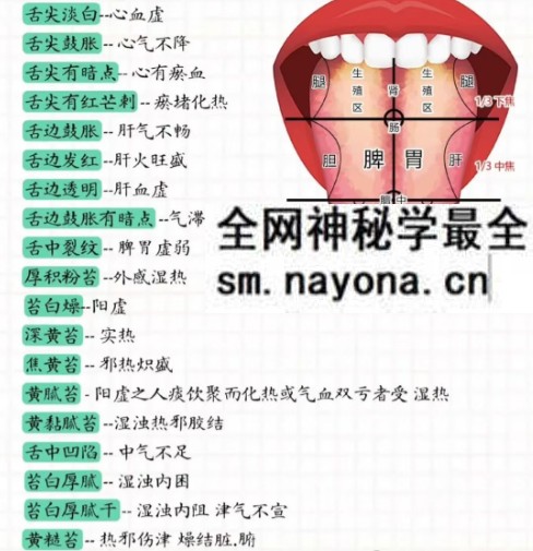 张菁蓉 零基础学舌诊75集
