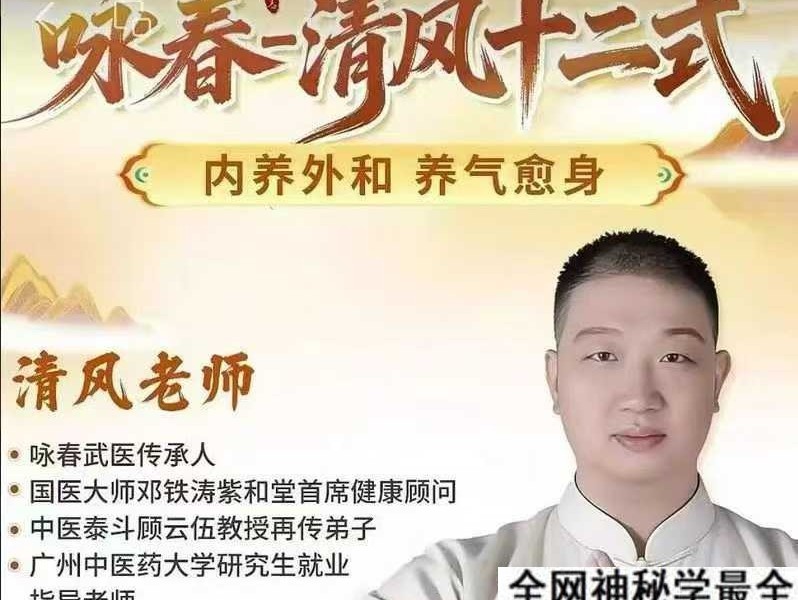 牛勇 咏春清风十二式（线上课）45集