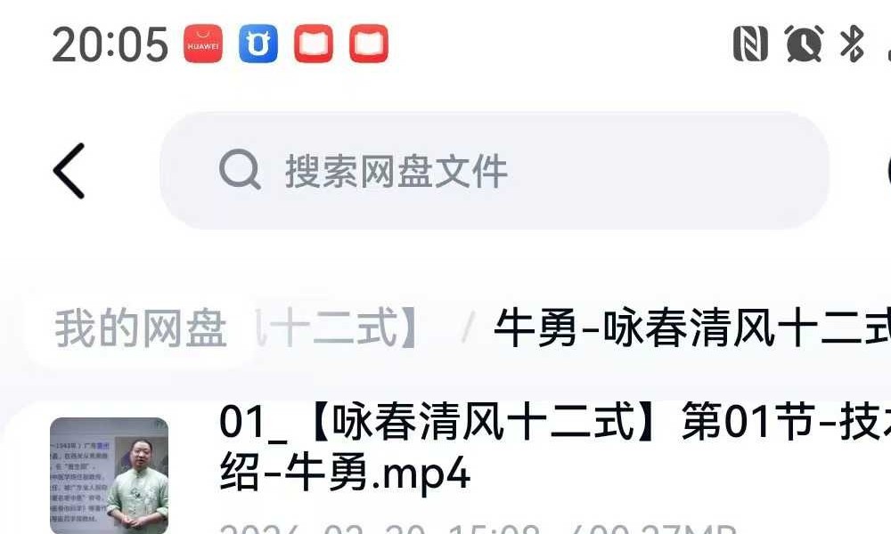 牛勇 咏春清风十二式（线上课）45集
