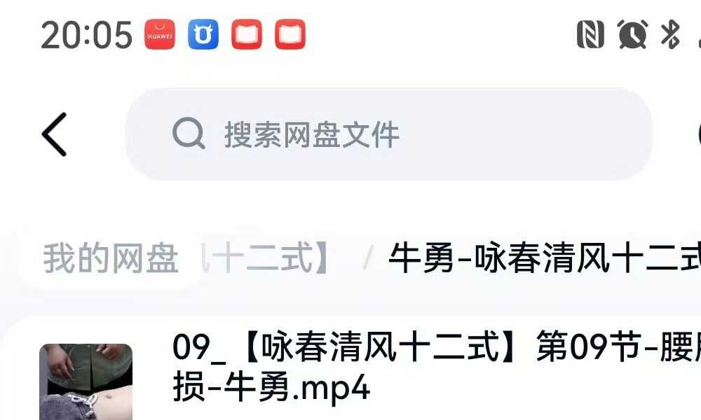 牛勇 咏春清风十二式（线上课）45集