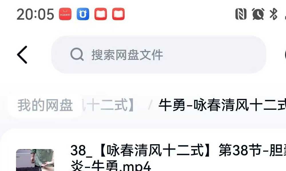 牛勇 咏春清风十二式（线上课）45集