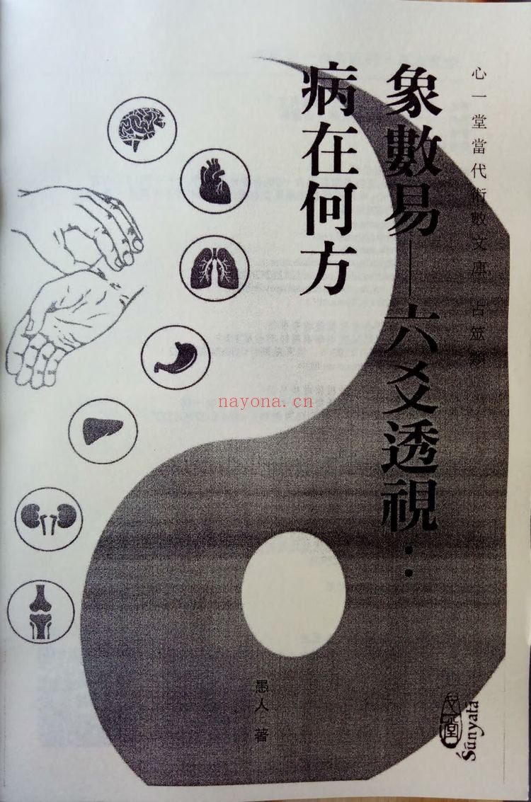 《六爻透视：病在何处》PDF电子书（288页）