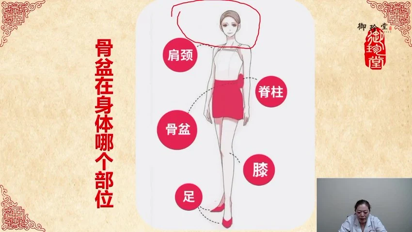 张乐《张氏五环磐龙术》视频22集