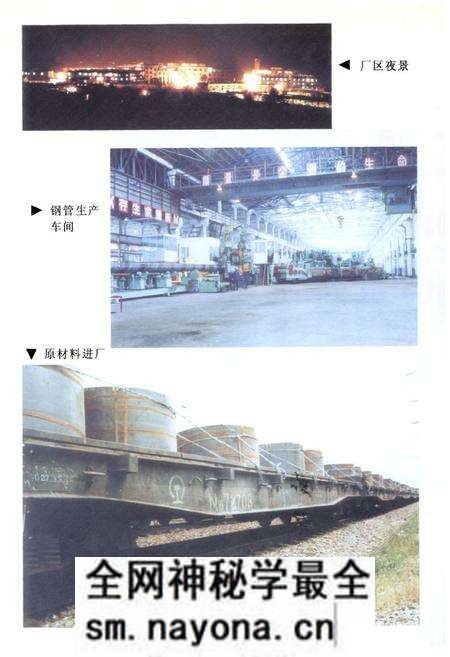 《四川石油管理局资阳钢管厂志》.pdf电子版_四川省志预览图4