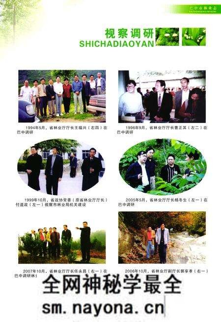 《巴中市林业志(1910~2005)》.pdf电子版_四川省志预览图4
