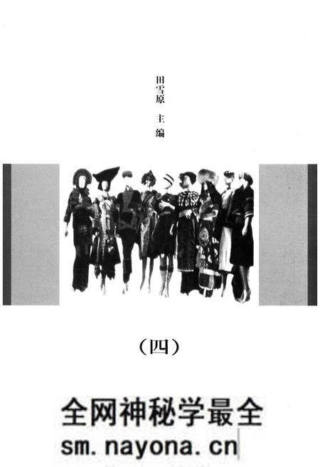 《中国民族人口 （四）》.pdf电子版_其他志预览图3