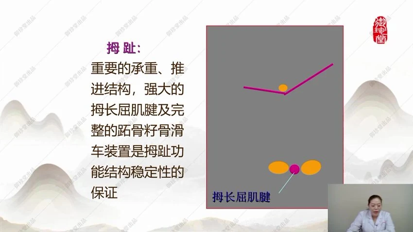 张乐《张氏五环磐龙术》视频22集