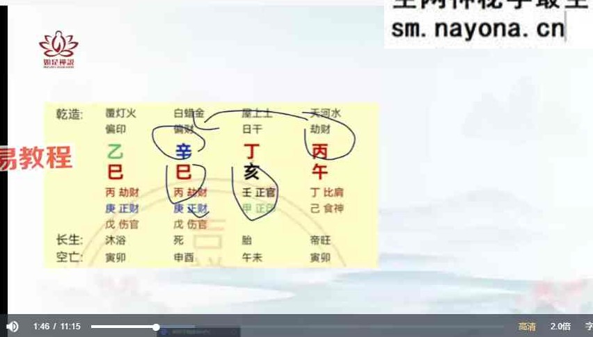 如是禅说辰南精批财富 视频28集