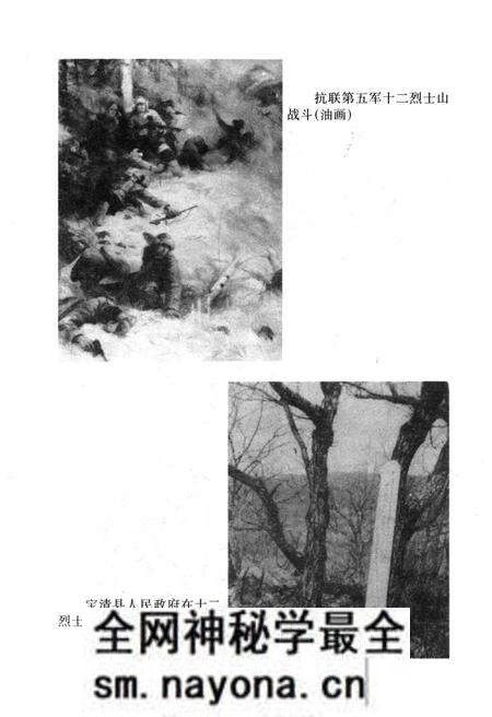 《东北抗日联军 第五军》.pdf电子版_其他志预览图5