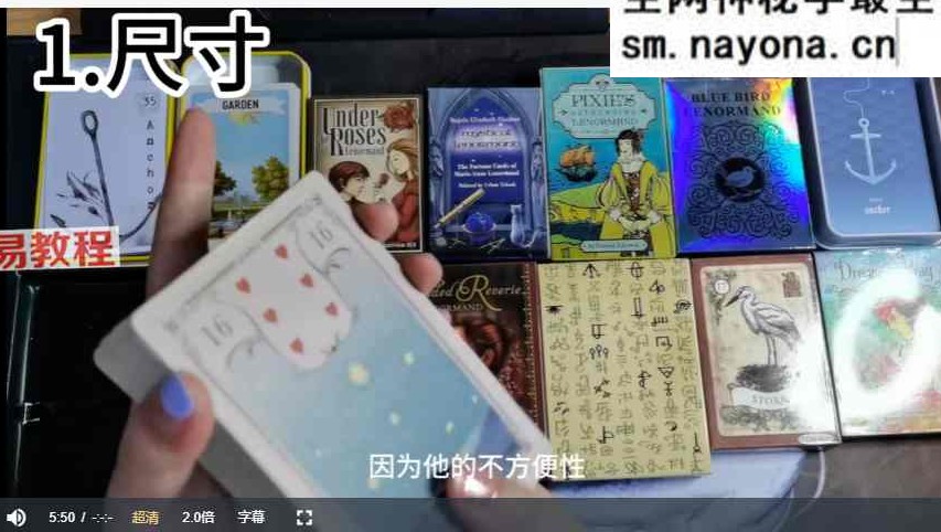 白姐姐雷诺曼应用大课班 视频多套