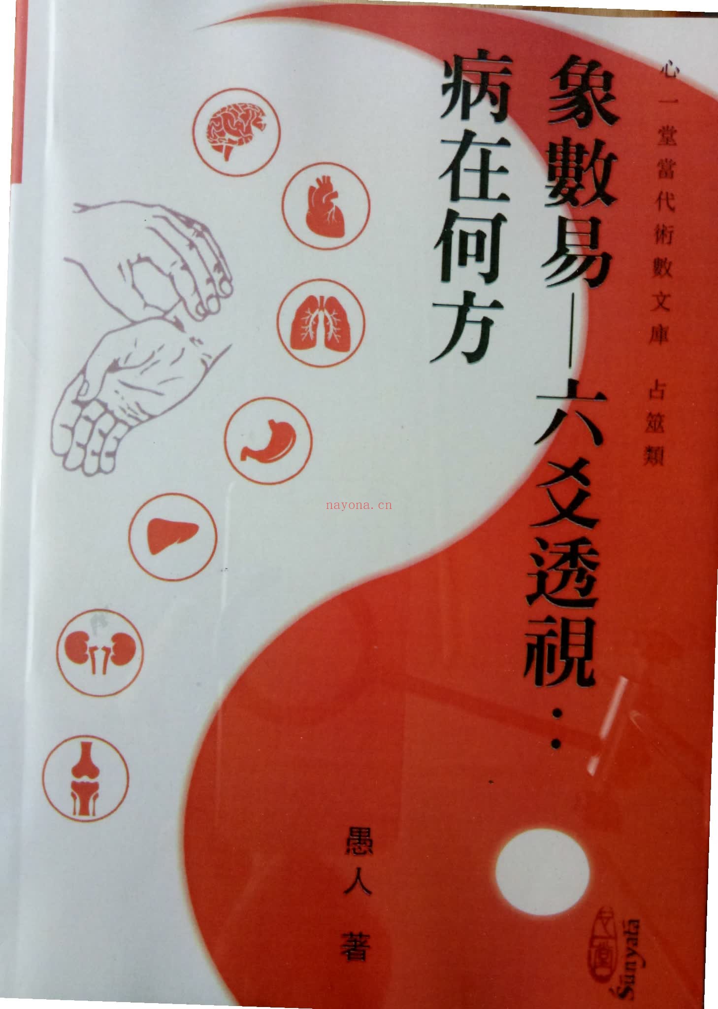 《六爻透视：病在何处》PDF电子书（288页）