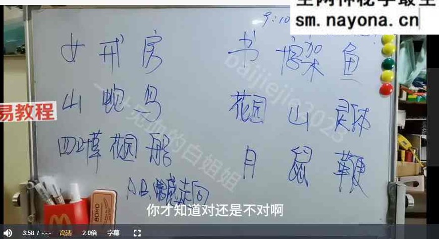 白姐姐雷诺曼应用大课班 视频多套