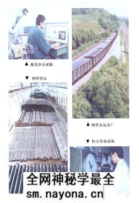 《四川石油管理局资阳钢管厂志》.pdf电子版_四川省志预览图5