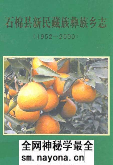 《石棉县新民藏族彝族乡志(1952-2000)》.pdf电子版_四川省志预览图 《石棉县新民藏族彝族乡志(1952-2000)》.pdf电子版_四川省志预览图