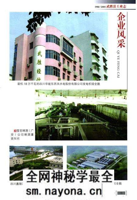《武胜县工业志(1986-2005)》.pdf电子版_四川省志预览图2 《武胜县工业志(1986-2005)》.pdf电子版_四川省志预览图2