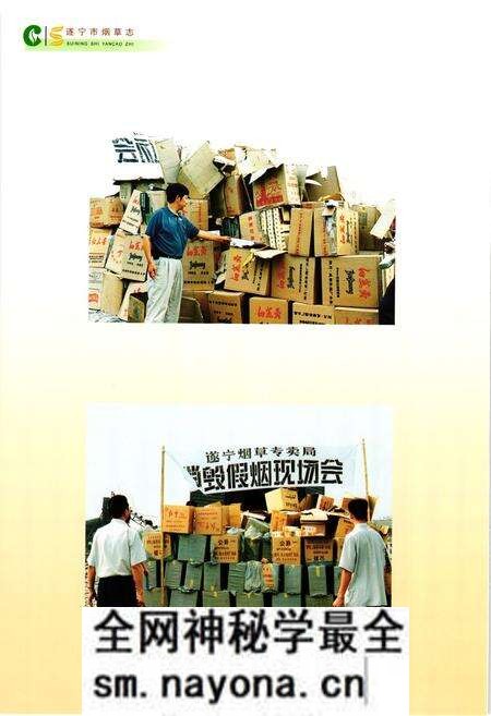 《遂宁市烟草志》.pdf电子版_四川省志预览图5