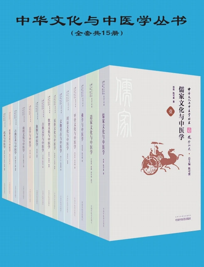 中华文化与中医学丛书（共15册）插图