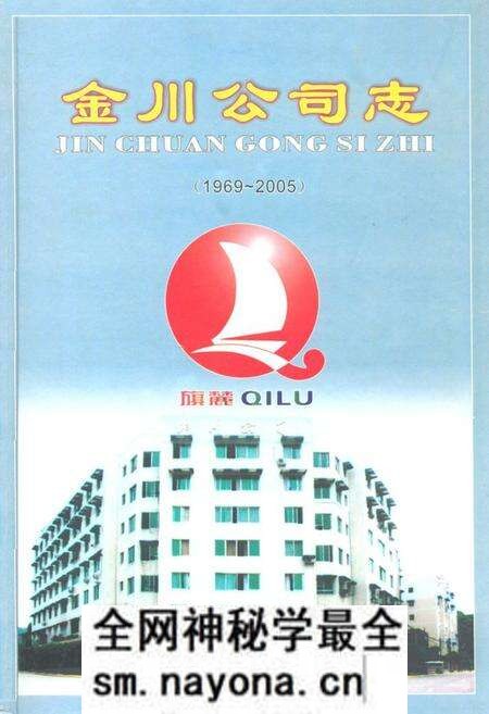 《金川公司志(1969-2005)》.pdf电子版_四川省志预览图 《金川公司志(1969-2005)》.pdf电子版_四川省志预览图