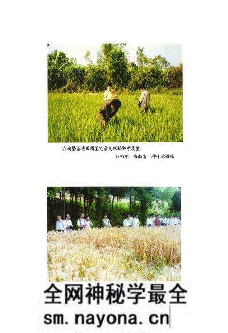 《安岳县农业局志(1986-2005)》.pdf电子版_四川省志预览图4 《安岳县农业局志(1986-2005)》.pdf电子版_四川省志预览图4