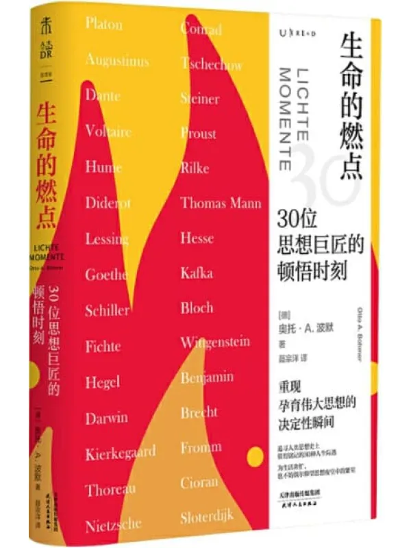 《生命的燃点：30位思想巨匠的顿悟时刻》封面图片