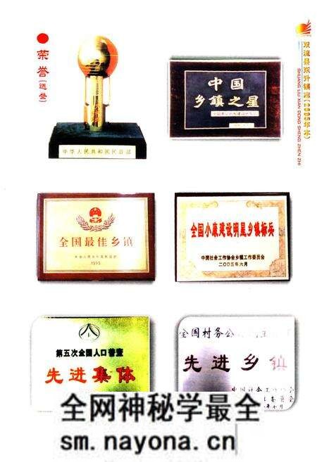 《双流县东升镇志(2005年本)》.pdf电子版_四川省志预览图5